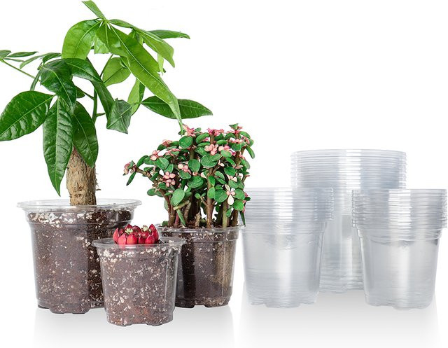 30er Packung transparente Kunststoff-Pflanzgefäße mit Drainagelöchern für Samen und Blumenpflanzen - Bild 1
