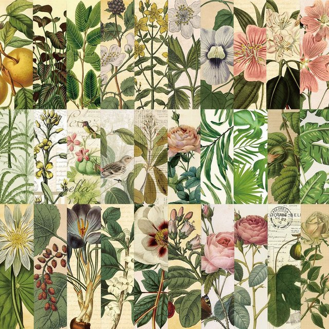 30 Stück Retro Lesezeichen aus Papier mit Natur- und Blumenmotiven in Multicolour für dein Journal und Notebook - Bild 1