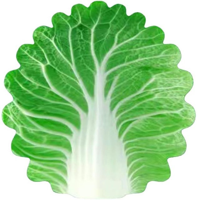 Kohl-Decke für Babys und Kleinkinder aus Flanell in Grün, B/B/H: 100 x 100 x 1 cm - Bild 1