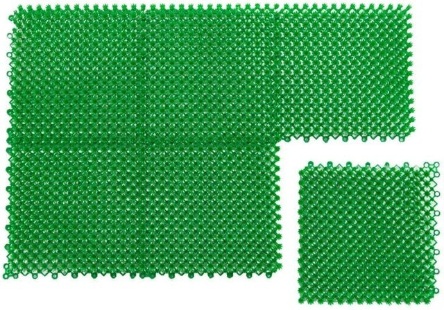 Lex Schmutzfangmatte als Fußmatte und Fußabtreter in Grün, B/T: 60 x 40 cm - Bild 1