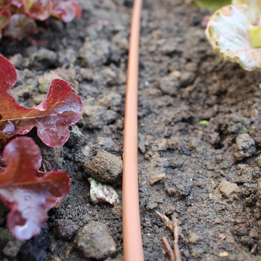 ELGO Drip N'Roll Tropfschlauch DP30 in Braun zur Bewässerung von Balkon oder Beet mit Druckregler und Filter für bis zu 30 m² - Bild 2