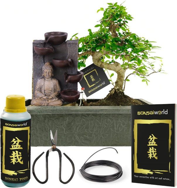 Vdvelde Bonsai Baum in S-Form mit Buddha Wasserfall und Zubehör in Grün - Bild 1