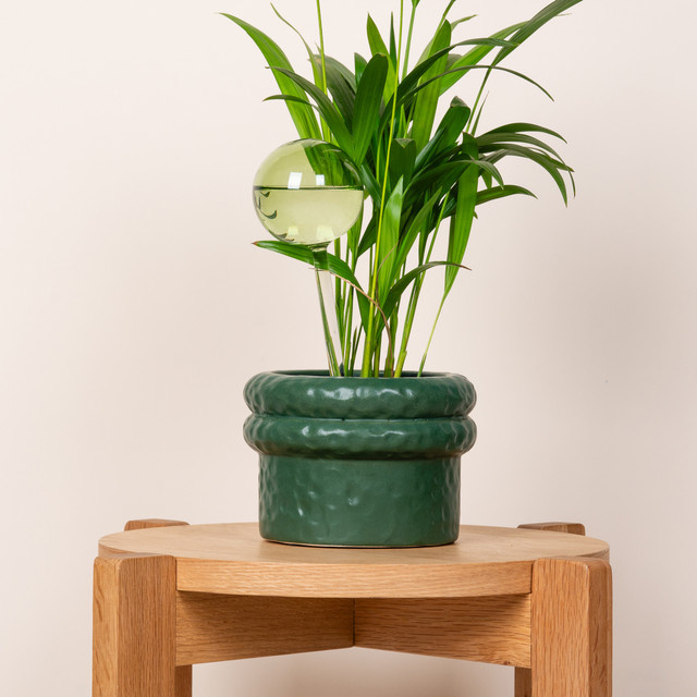 Bewässerungskugel aus Glas von BLUME2000, rund, grün, Höhe: 7,5 cm, Breite: 7,5 cm, Tiefe: 1,0 cm - Bild 1