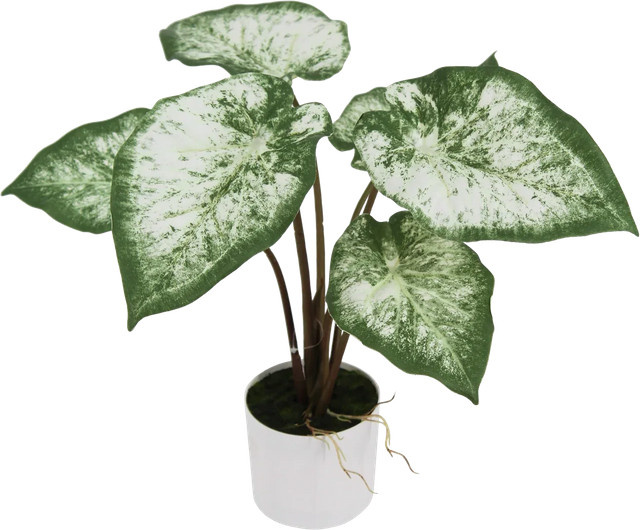 Künstliche Caladium Dalia von Aplanta in Grün, Höhe: 45 cm - Bild 1