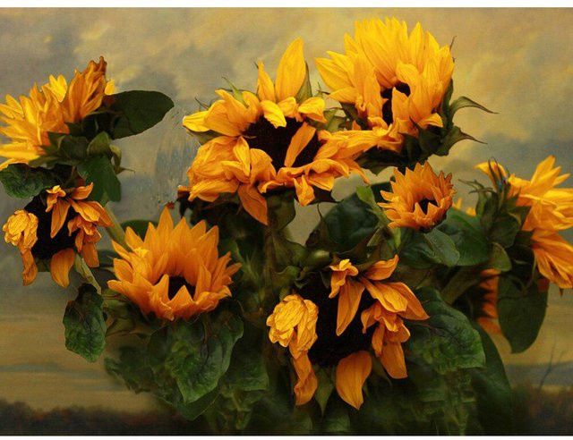 FIYO Diamant-Malerei Sonnenblume Wanddekoration mit Blumenmuster in Beige und Gelb, B x H: 20 x 30 cm - Bild 1