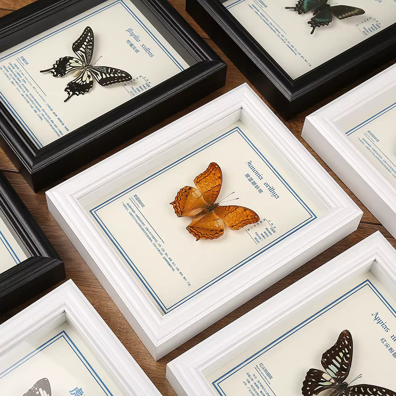 CHENGWEI Schmetterlings-Box-Rahmen im europäischen Stil aus Holz mit floralem Design als 3D Schattenbox zur Insekten-Ausstellung und Heimdekoration - Bild 1