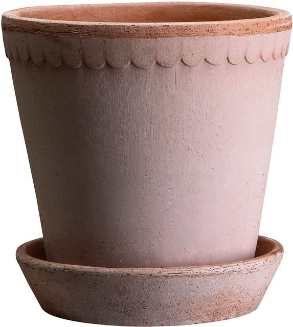 Bergs Potter Blumentopf The Helena Raw Pot mit Untersetzer Rose Durchmesser: 18 cm - Bild 1