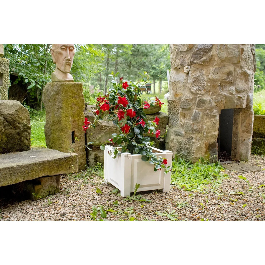 KHW Pflanzkasten quadratisch in Weiß für Kübelpflanzen - Bild 2