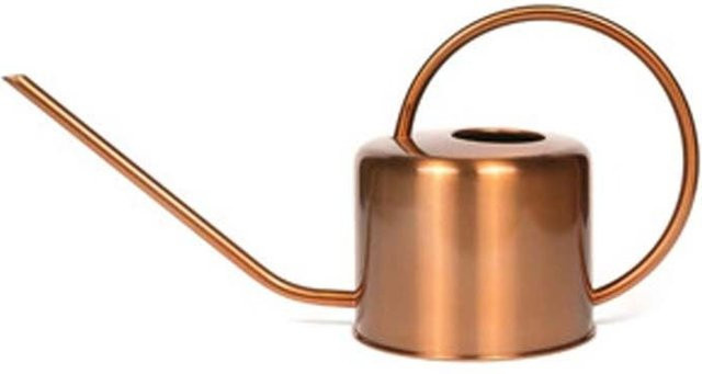 Edelstahl-Gießkanne von fengchenjianzhu in Braun mit langem Ausguss für Gemüseanbau und Zimmerpflanzen - Bild 1