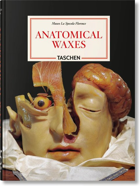 Anatomische Wachse, 45. Ausg., gebundene Ausgabe - Bild 1