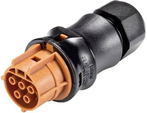 Wieland Electric X6.051.4051.4 Steckverbinder in Braun und Schwarz - Bild 1