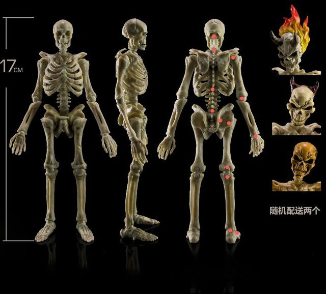 Hot Toys Menschliches Superflexibles Skelett Zubehörmodell, 1/12 Maßstab, Actionfigur, 17cm, 22 Bewegliche Gelenke - Bild 1