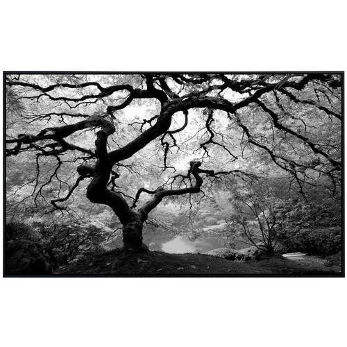 papermoon EcoHeat Infrarotheizung Waldbaum schwarz weiss mit Matt-Effekt und App-Steuerung - Bild 2