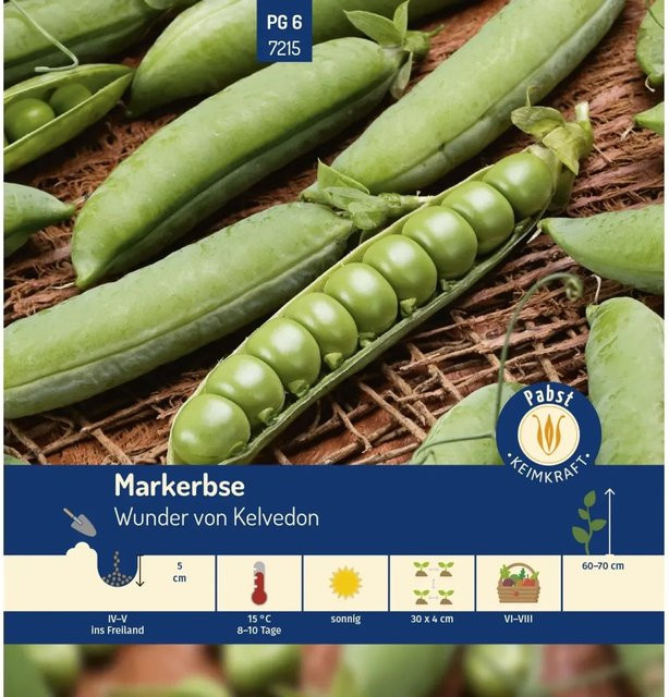 Pabst Keimkraft Markerbse Wunder Von Kelvedon Saatgut mittelfrüh und sehr ertragreich - Bild 1