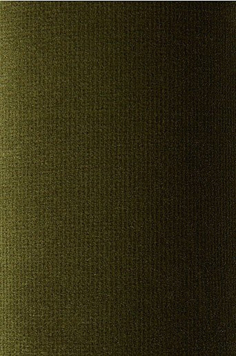 HENGTAI Velvet Stoffmuster in Grün - Bild 1