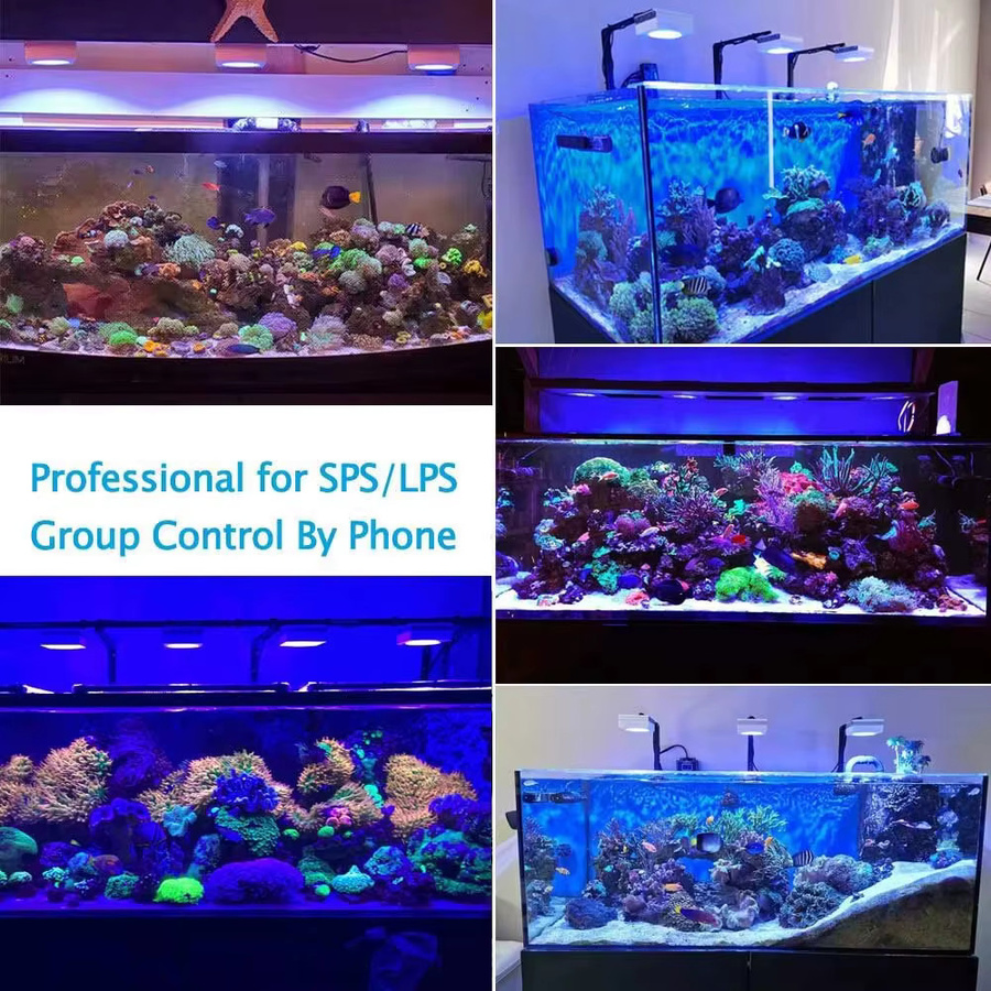 PopBloom RL90 WiFi LED-Aquariumbeleuchtung Vollspektrum Riffbeleuchtung für Meerwasser-Korallenwachstum - Bild 6