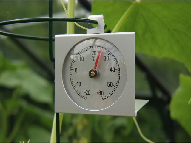 Vitavia Thermometer in Silberfarben für das Gewächshaus - Bild 1