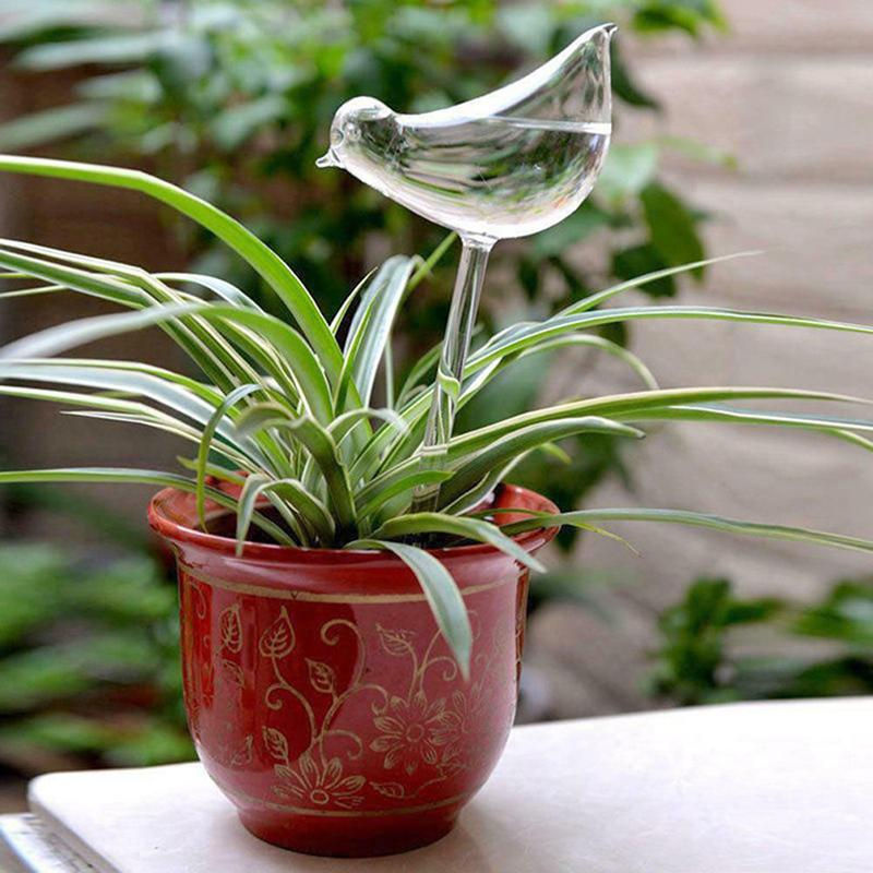 MarkMew Selbstbewässernde Pflanzenbewässerungskugeln aus Glas in transparenter Vogelform für Topfpflanzen und Zimmerpflanzen - Bild 6