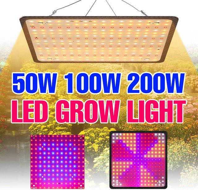 200W Vollspektrum LED Quantum Board Pflanze Wachsen Licht für Gewächshaus und Zelt - Bild 1