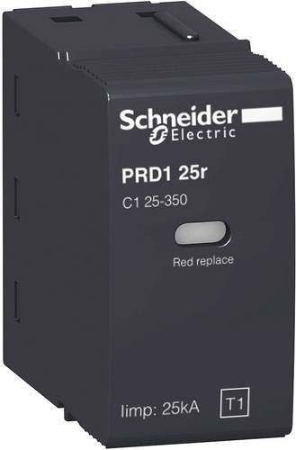 Schneider Electric Ersatzschutzmodul 16315 in Schwarz - Bild 1