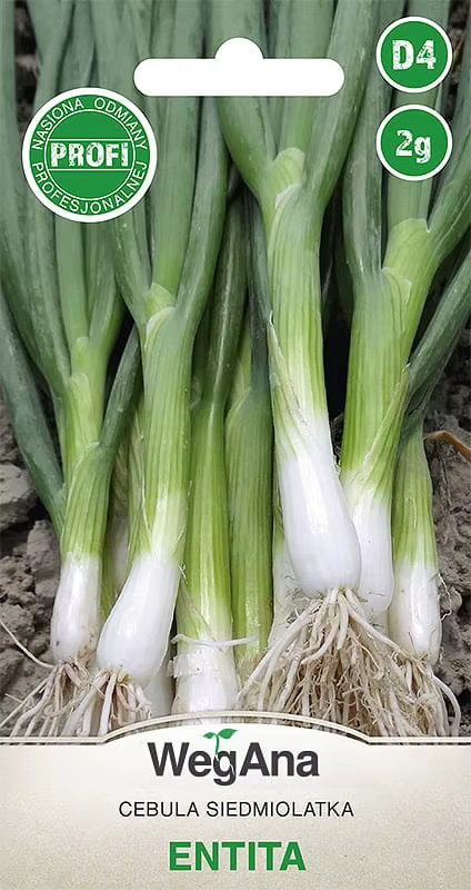 VegAna Gemüsezwiebelsamen Zwiebel 7-jährige Entita 2 g - Bild 1