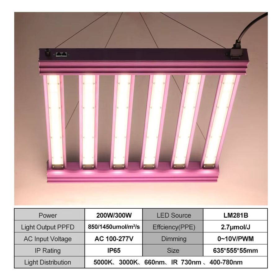 Hunta Vollspektrum-LED-Wachstumslicht 200W in Schwarz für Hydrokultur und Gewächshäuser - Bild 5