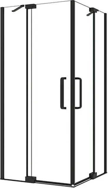 Duschparadies Duschkabine Eckeinstieg mit Drehtür aus 8mm Nano Glas in Schwarz, B/T: 120 x 120 cm, Höhe: 195 cm - Bild 1