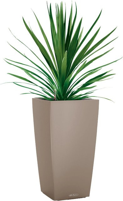 Lechuza Pflanzgefäß Cubico Color Sandbraun B/T/H: 40 x 40 x 75 cm - Bild 1