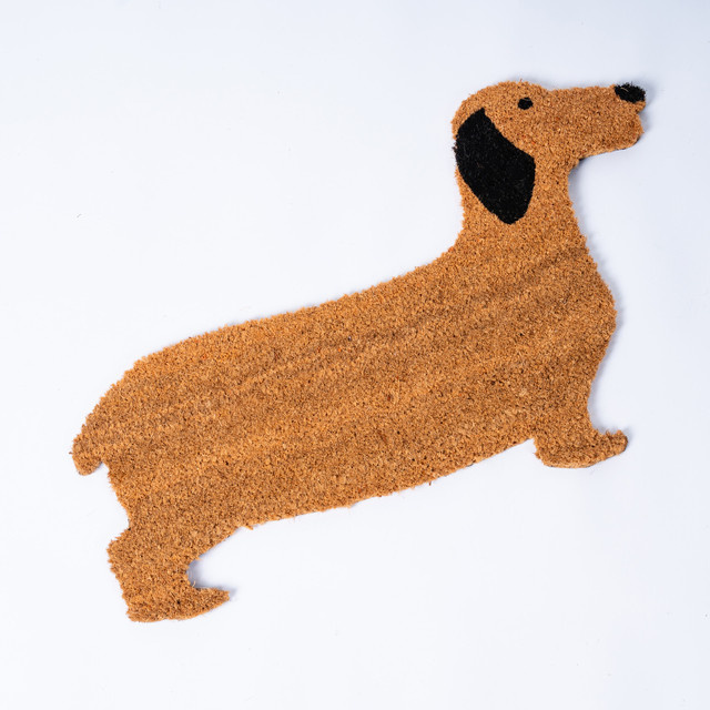BLUME2000 Kokos-Türmatte Hund, braun, B/T: 75,3 x 75,3 cm - Bild 1