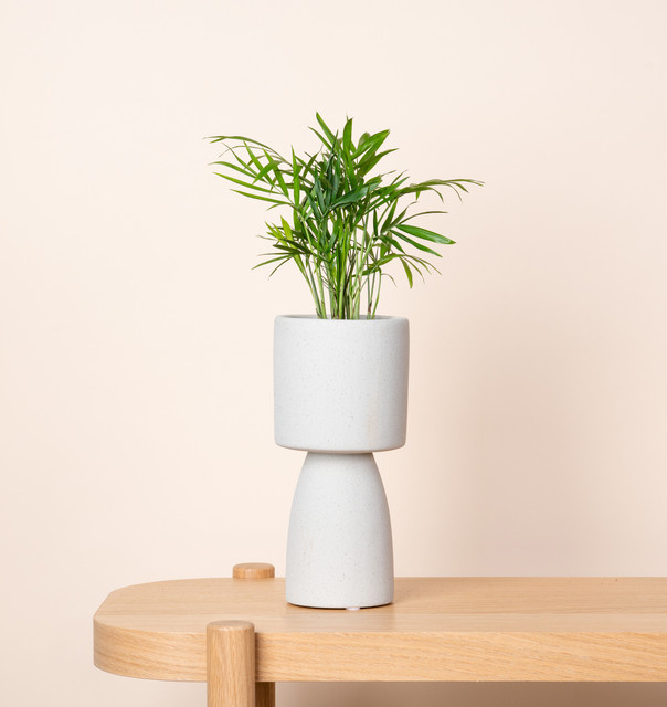 Keramik Übertopf mit Sockel von BLUME2000 in Beige, Höhe: 9 cm, Breite: 9 cm, Tiefe: 23,5 cm - Bild 1
