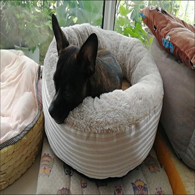 Weiches Höhlenbett für Katzen und Hunde aus Bio-Baumwolle und Plüsch-Sherpa in Grau mit rutschfester Unterseite - Bild 2