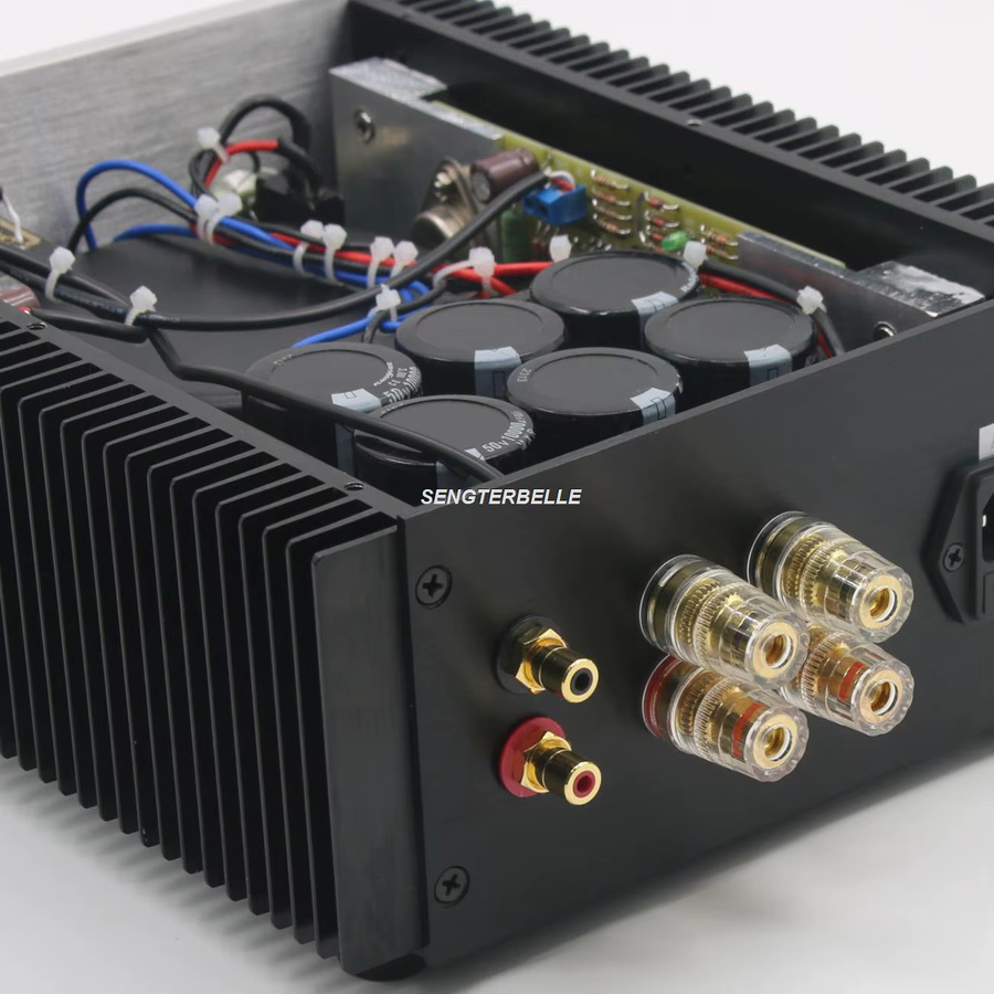 HiFi PASS AM Pure Class A Stereoverstärker mit 22W Leistung für dein Heimkino-System - Bild 4