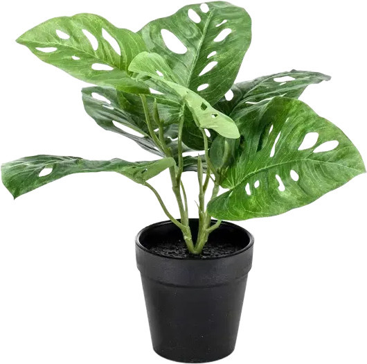 Künstliche Monstera Pflanze Jonah von Aplanta in Grün, Höhe: 30 cm - Bild 1
