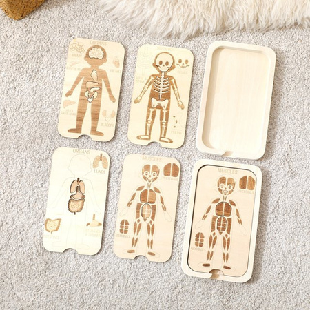 let's make Menschlicher Körper Puzzle, Holz, Kognitiv