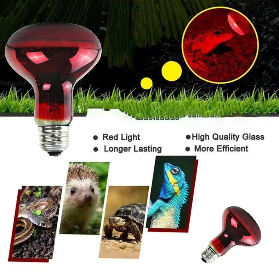 Reptilien Heizlampe UVA Infrarotlampe 25W für Schlangen, Schildkröten, Geckos und Amphibien US-110V - Bild 3