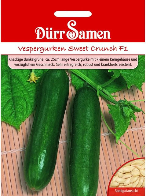 Dürr Samen Vespergurken Sweet Crunch F1 Saatgut - Bild 1