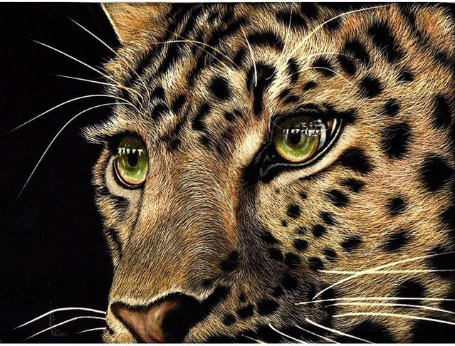 Diamant-Gemälde FIYO mit wildem Leopard als Kreuzstich-Mosaik in Braun, Breite: 30 cm, Höhe: 20 cm - Bild 1