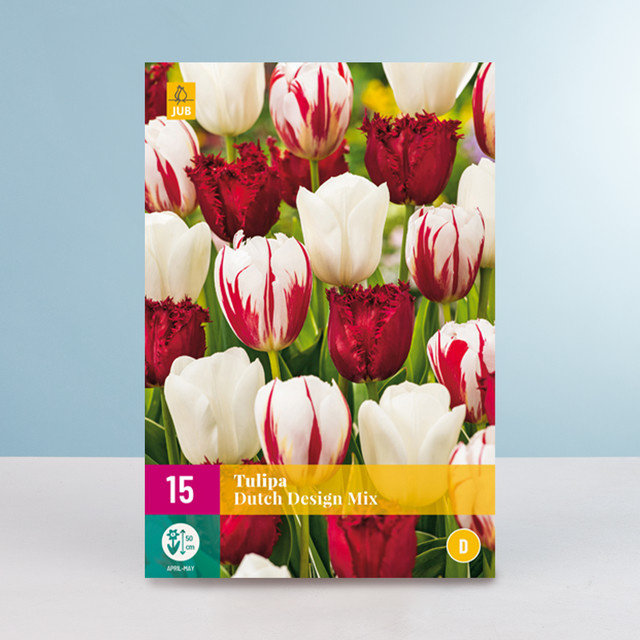 Tulpen Dutch Design Mix BLUME2000 mit 15 Zwiebeln - Bild 1