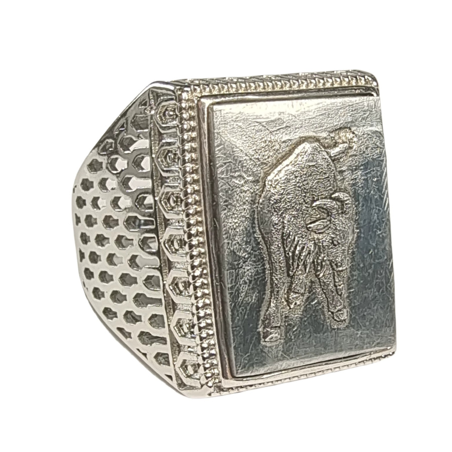 Ring 925 Silber, Muonionalusta Meteorit, Unisex - Bild 2
