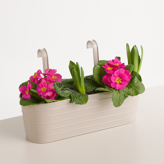 BLUME2000 Balkonkasten Rille aus Metall in Taupe, B/T/H: 42,0 x 25,0 x 14,5 cm - Bild 1