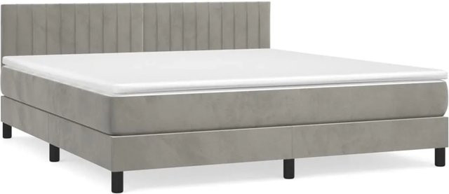 vidaXL Boxspringbett mit Matratze in Hellgrau aus Samt, B/T/H: 160 x 200 cm - Bild 1