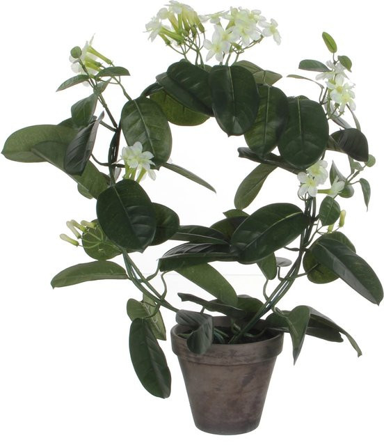 Mica Decorations Kunstpflanze Stephanotis in weißem Blumentopf, Durchmesser: 40 cm, Höhe: 50 cm - Bild 1