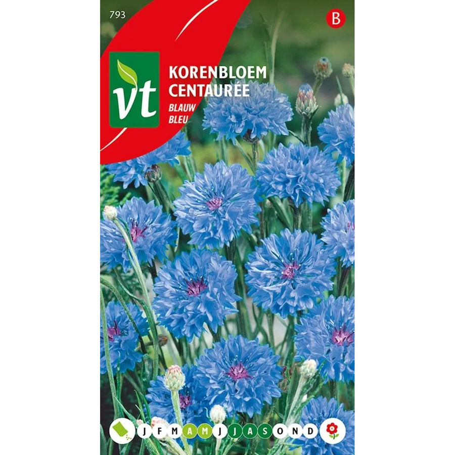 Arborix Kornblume Samen für blaue Blüten, ca. 1 g - Bild 2