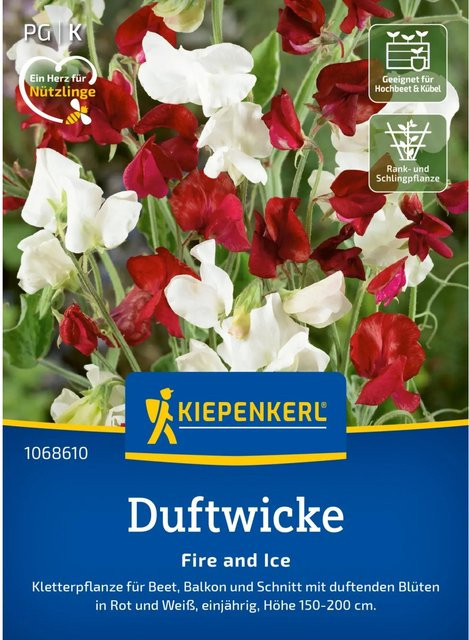 Kiepenkerl Duftwicke Fire and Ice Lathyrus odoratus Blumensamen für Zäune, Gitter und als Schnittblume - Bild 1