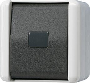 Jung Taster 1-pol. Wechsler 10AX 250V glasklar - Bild 1