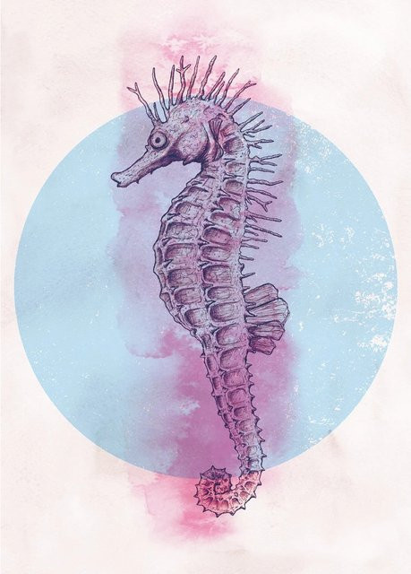 Komar Wandbild Sea Horse Circle in Multicolor, B: 50 cm, H: 70 cm - Bild 1