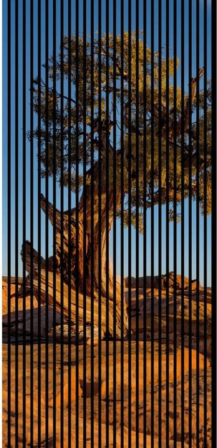 FN Acustico Akustikplatte Steppe 1 Bunt aus PET und MDF mit modernem Design, B/T/H: 113,3 x 19,0 x 240,0 cm - Bild 1