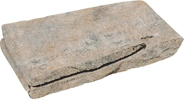 Diephaus Mauerstein Piera Muschelkalk in Beige, B/T/H: 40 x 18 x 8 cm - Bild 1