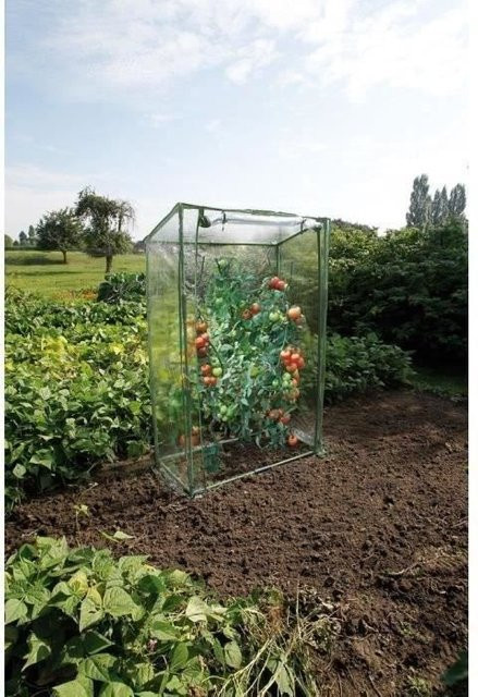 Nature Tomatengewächshaus H: 150 cm, B: 100 cm, T: 50 cm - Bild 1