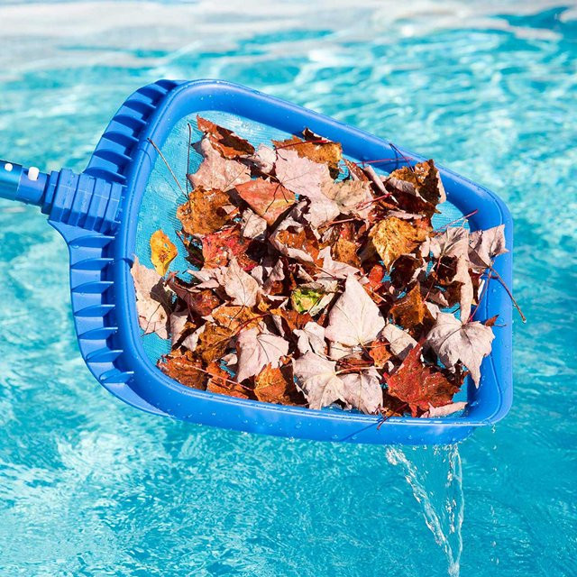 Robuster Pool-Skimmer-Netz aus Kunststoff für die Poolreinigung mit Teleskopstange, Blau, mfySpace - Bild 1